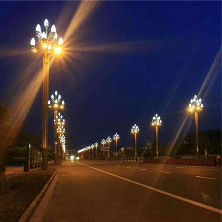 亮标景区道路照明玉兰灯项目案例
